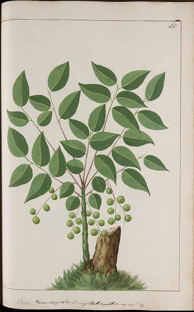 no HD illustration available (3)