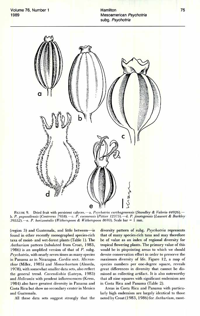 no HD illustration available (3)