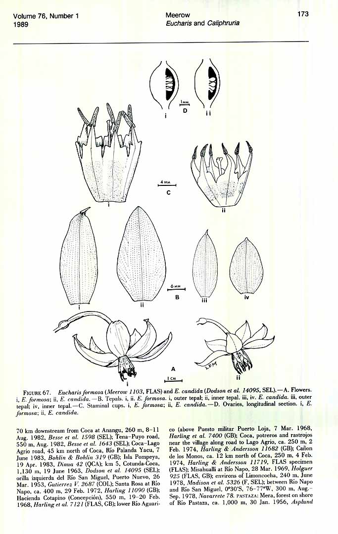 no HD illustration available (3)