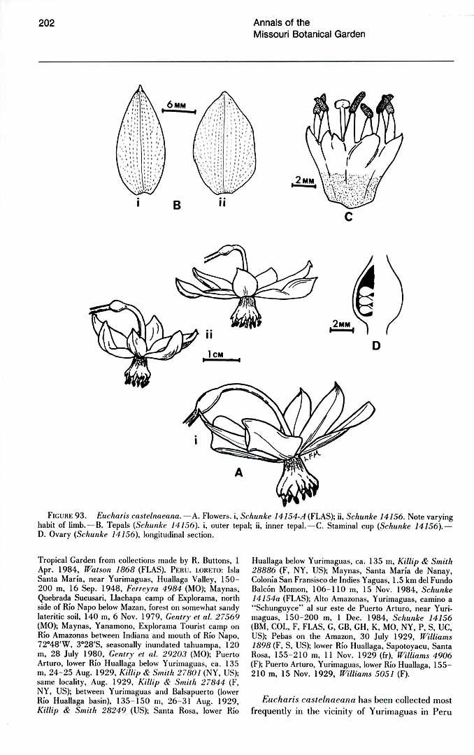 no HD illustration available (3)