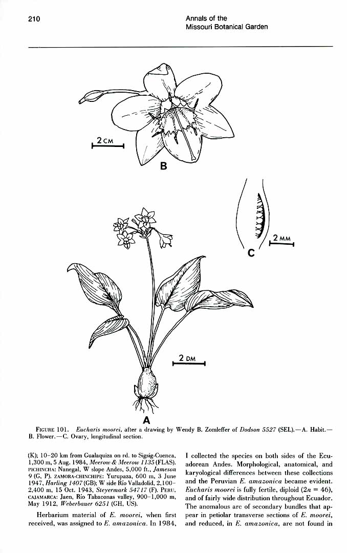 no HD illustration available (3)