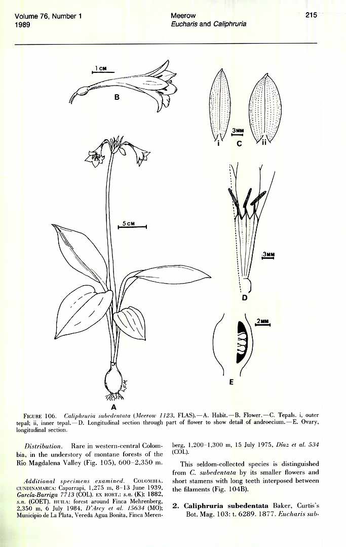 no HD illustration available (3)