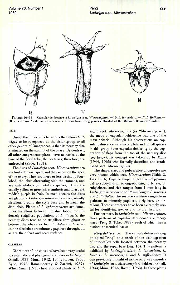 no HD illustration available (3)