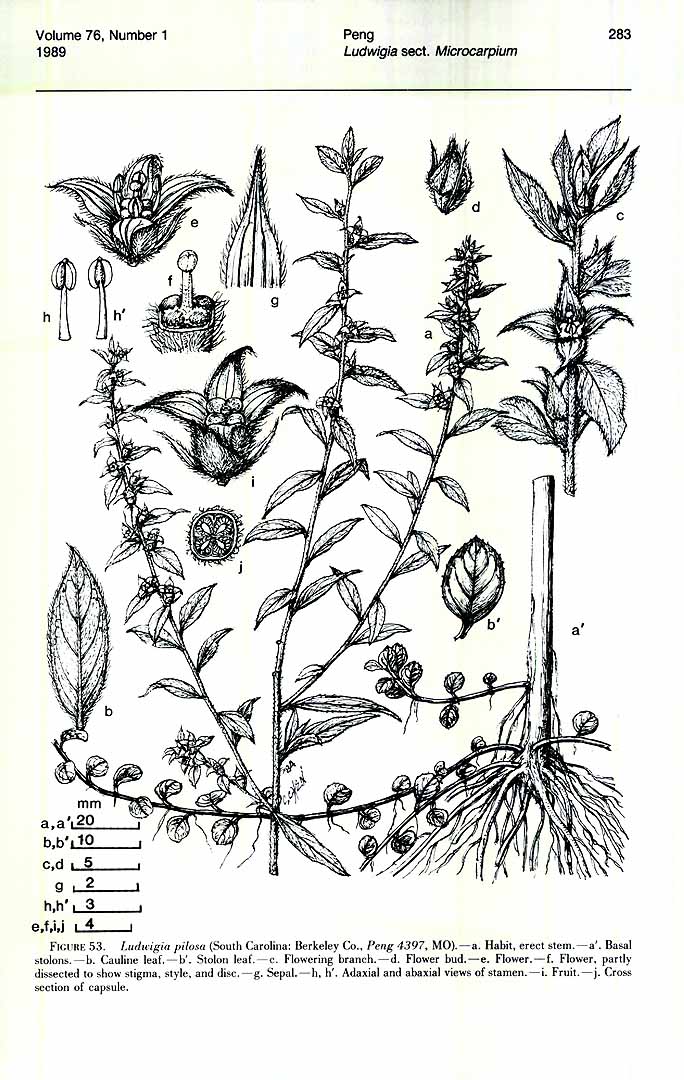 no HD illustration available (3)