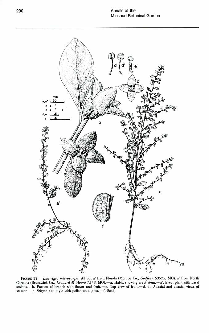 no HD illustration available (3)