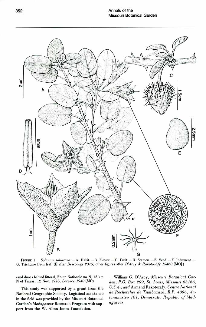 no HD illustration available (3)