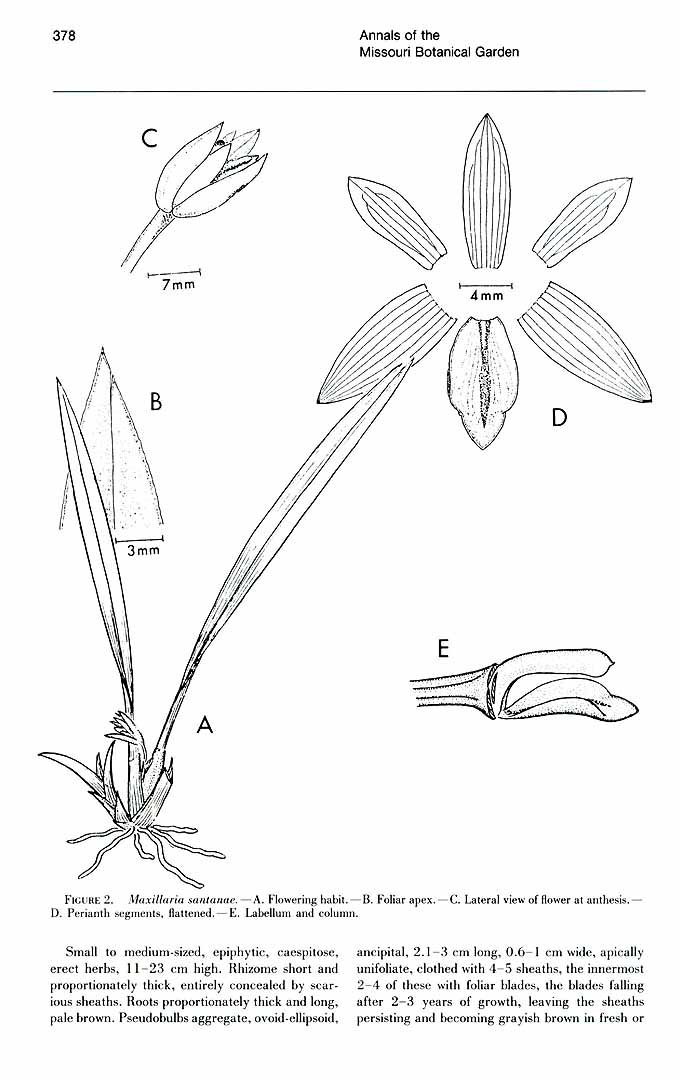 no HD illustration available (3)