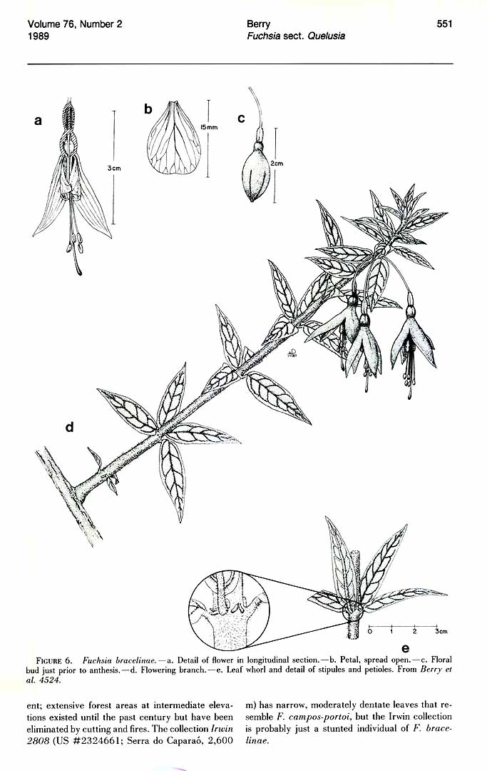 no HD illustration available (3)