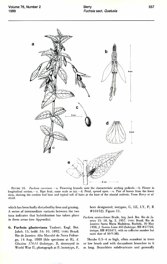 no HD illustration available (3)