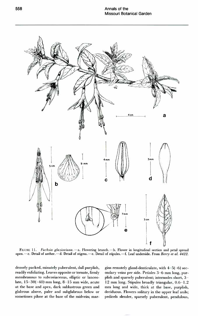 no HD illustration available (3)