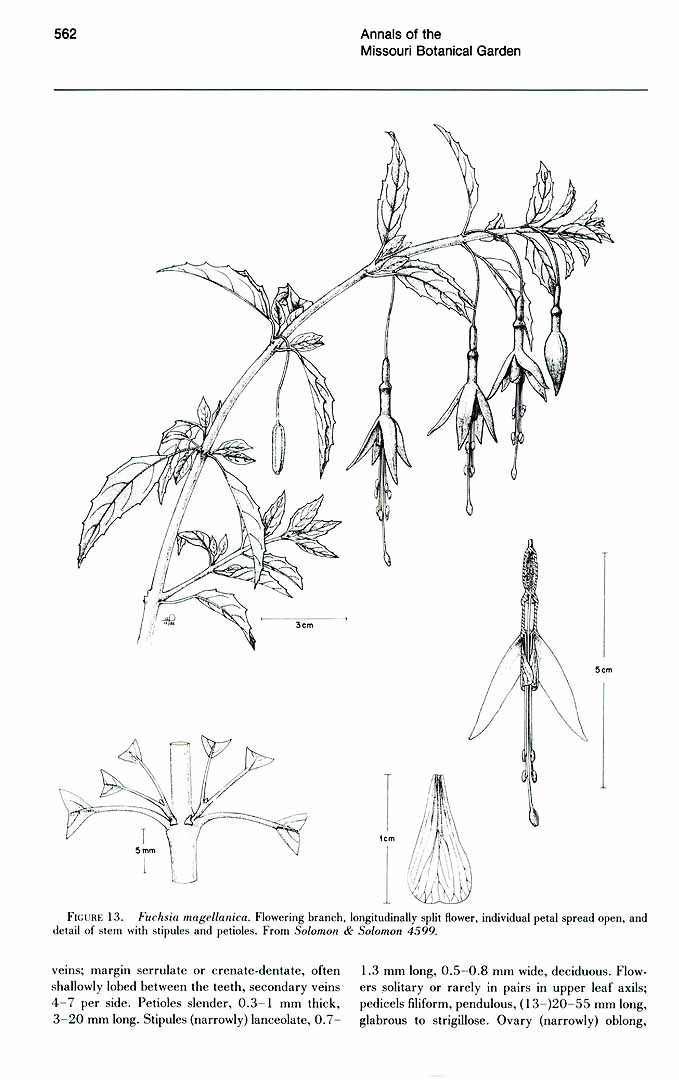 no HD illustration available (3)