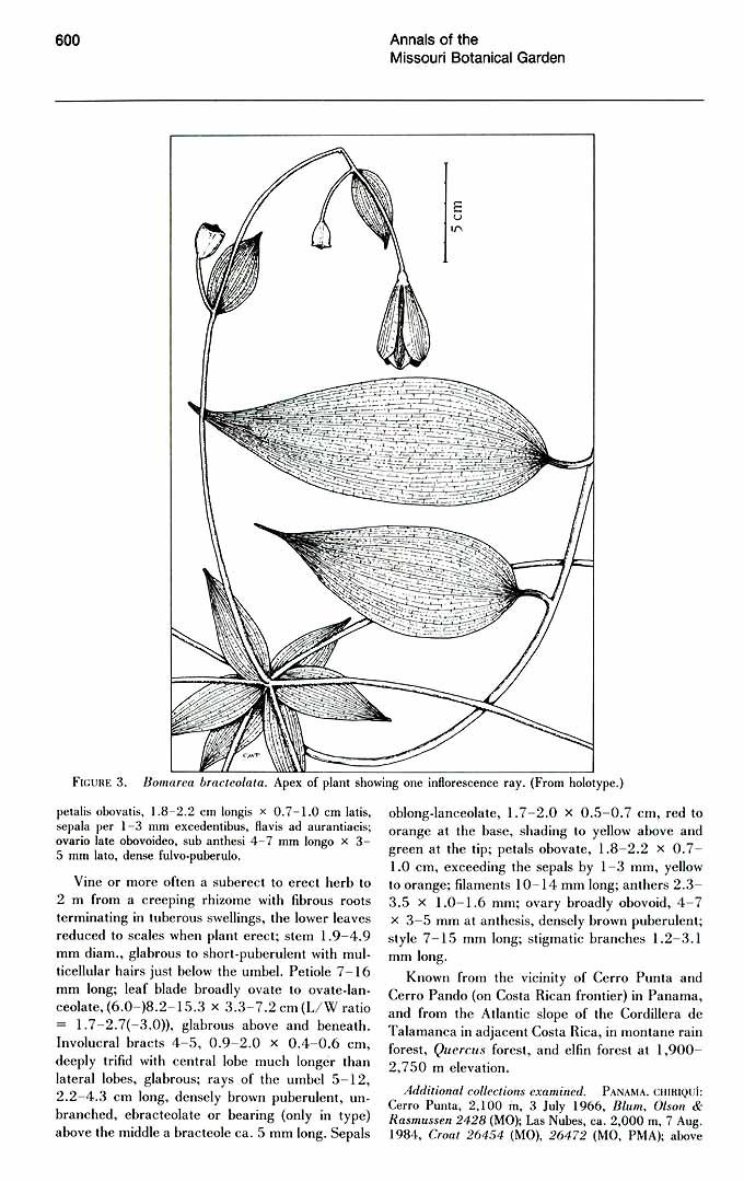 no HD illustration available (3)