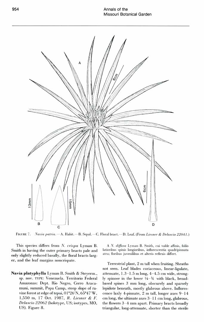 no HD illustration available (3)