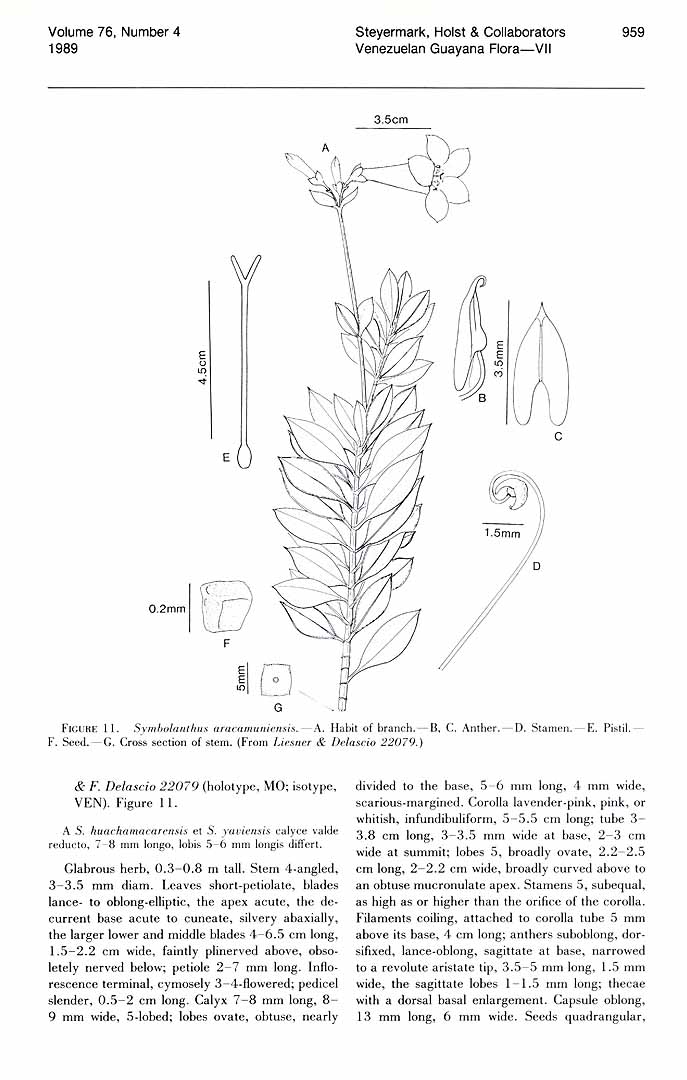 no HD illustration available (3)