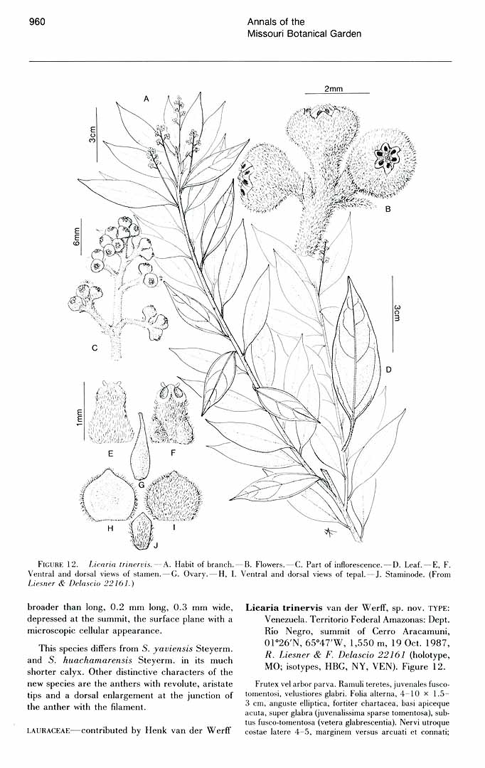 no HD illustration available (3)