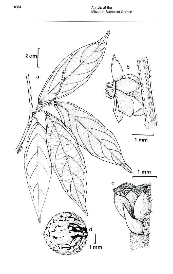 no HD illustration available (3)