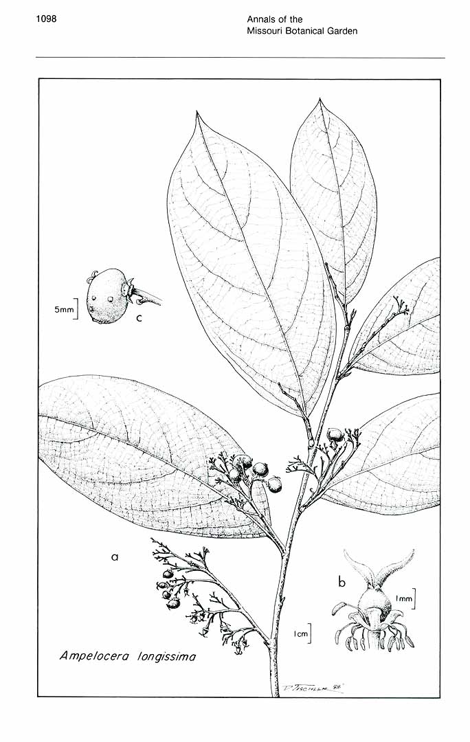 no HD illustration available (3)