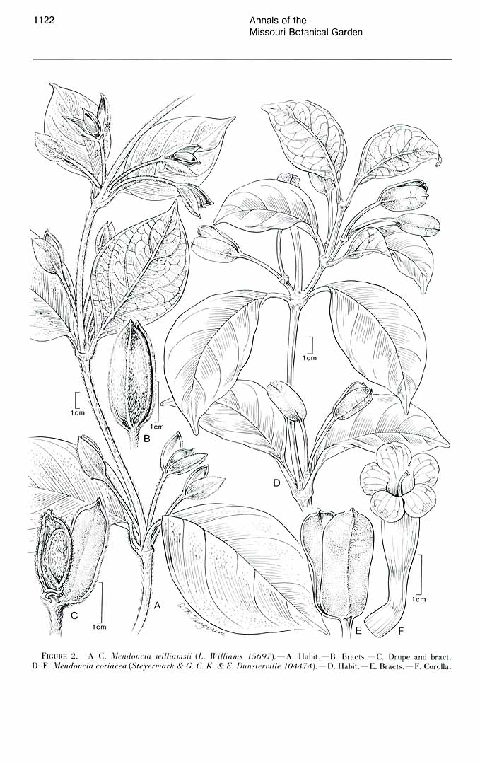 no HD illustration available (3)