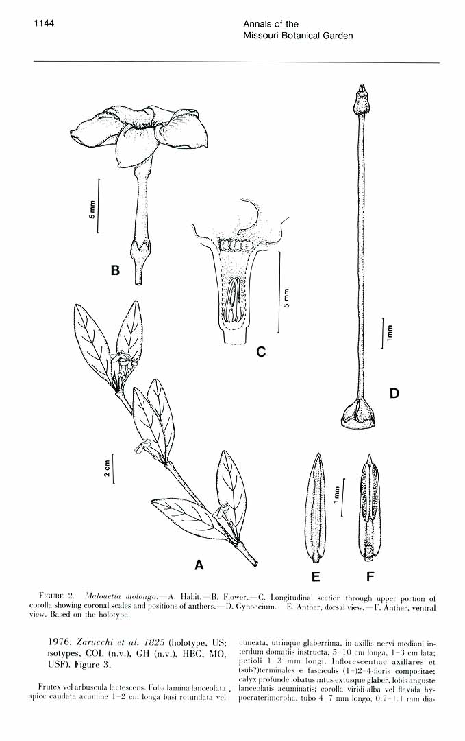 no HD illustration available (3)