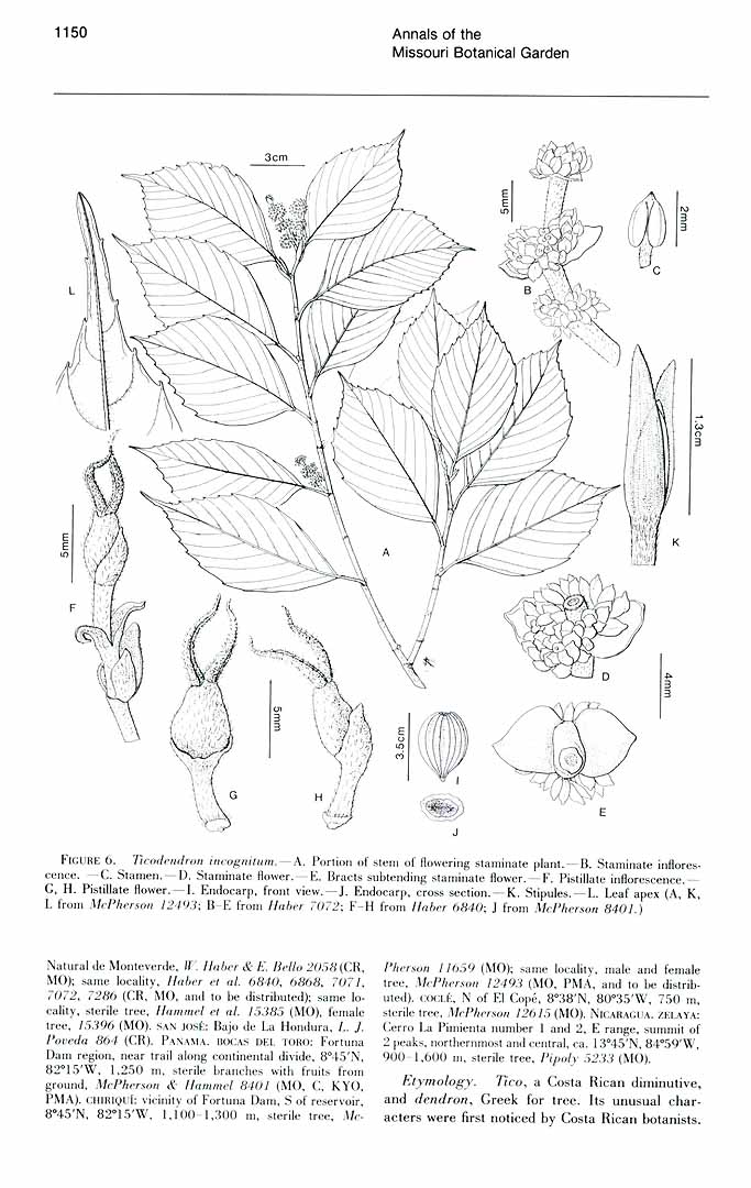 no HD illustration available (3)