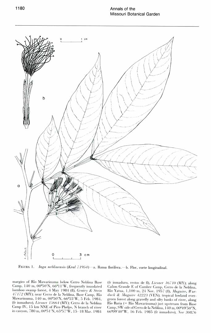 no HD illustration available (3)