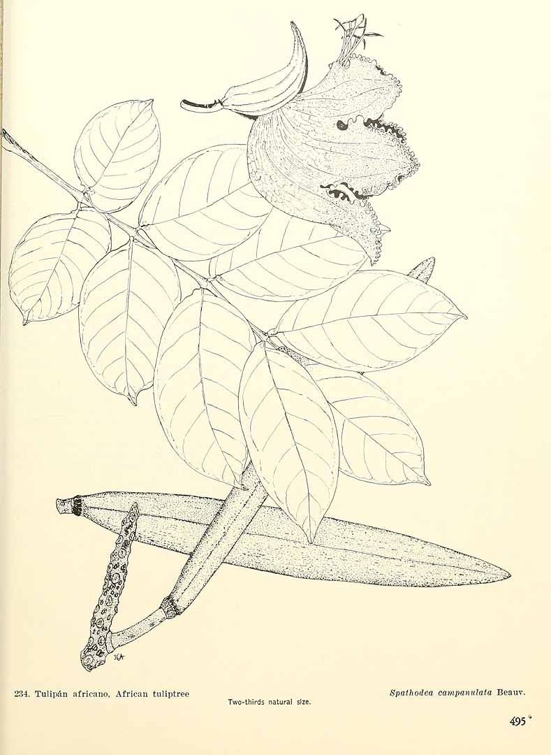 no HD illustration available (3)