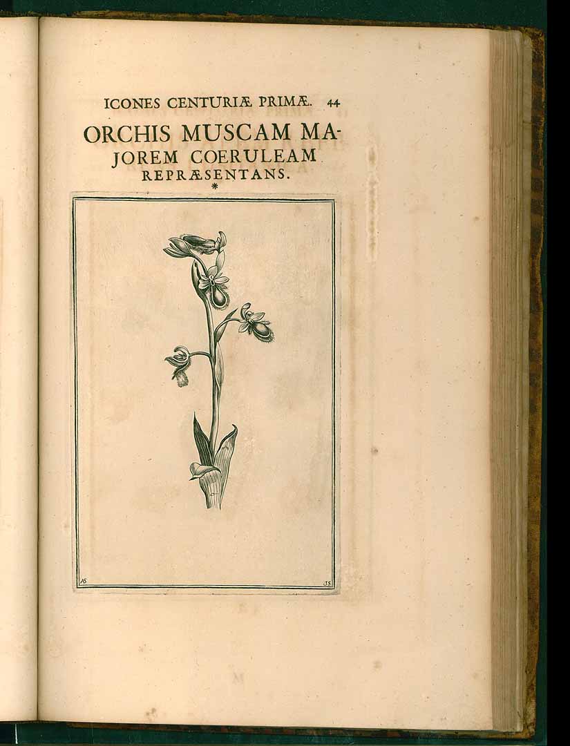 no HD illustration available (3)