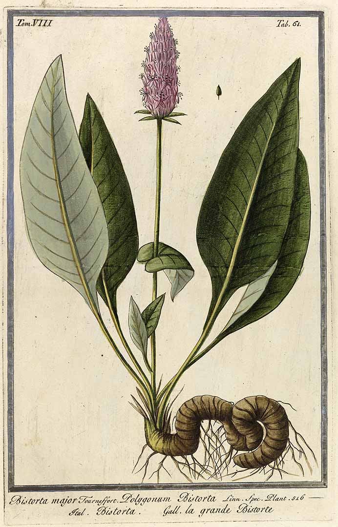 no HD illustration available (3)