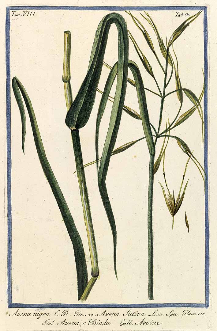 no HD illustration available (3)