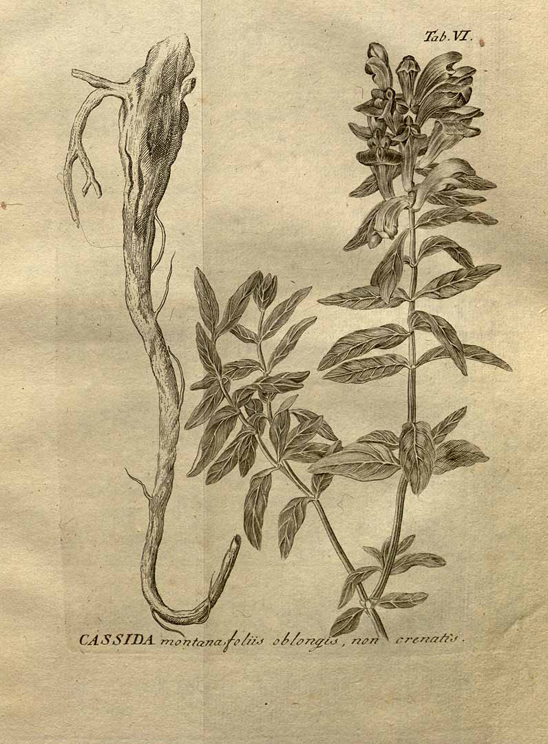 no HD illustration available (3)