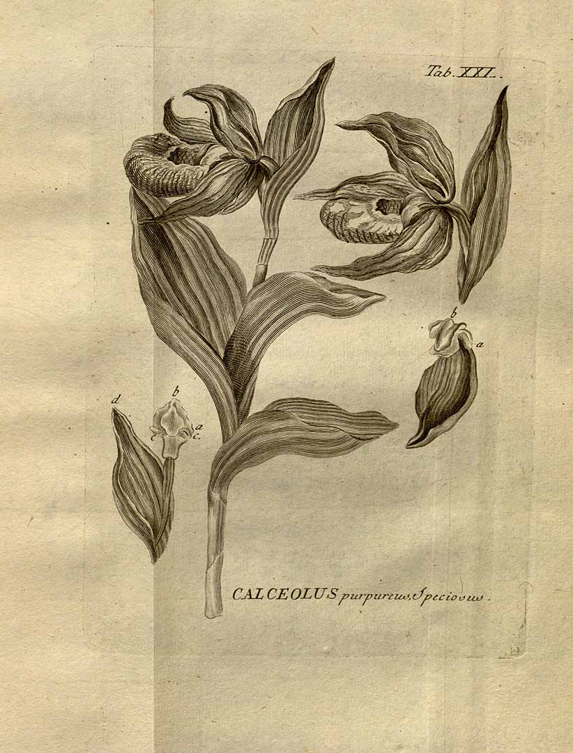 no HD illustration available (3)