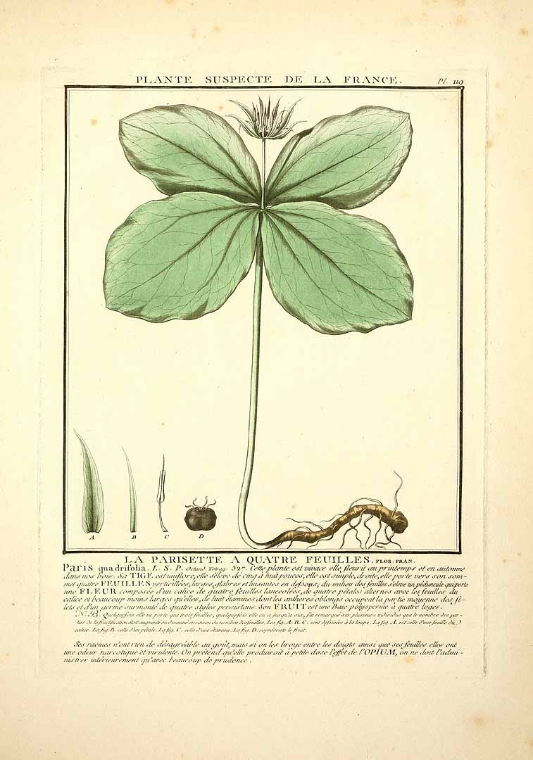 no HD illustration available (3)