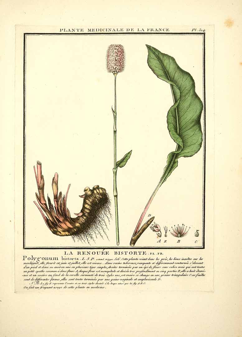 no HD illustration available (3)