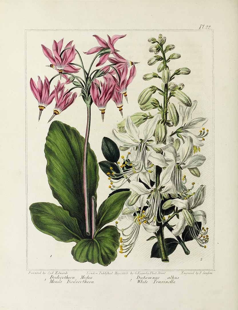 no HD illustration available (3)