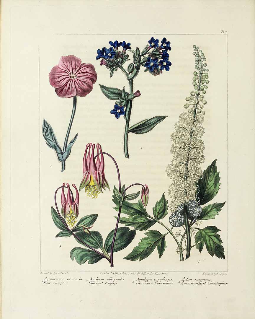 no HD illustration available (3)