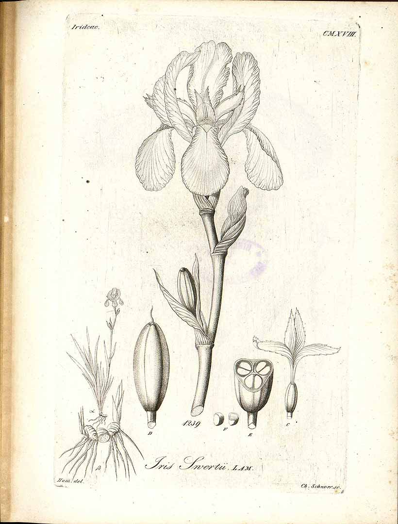 no HD illustration available (3)