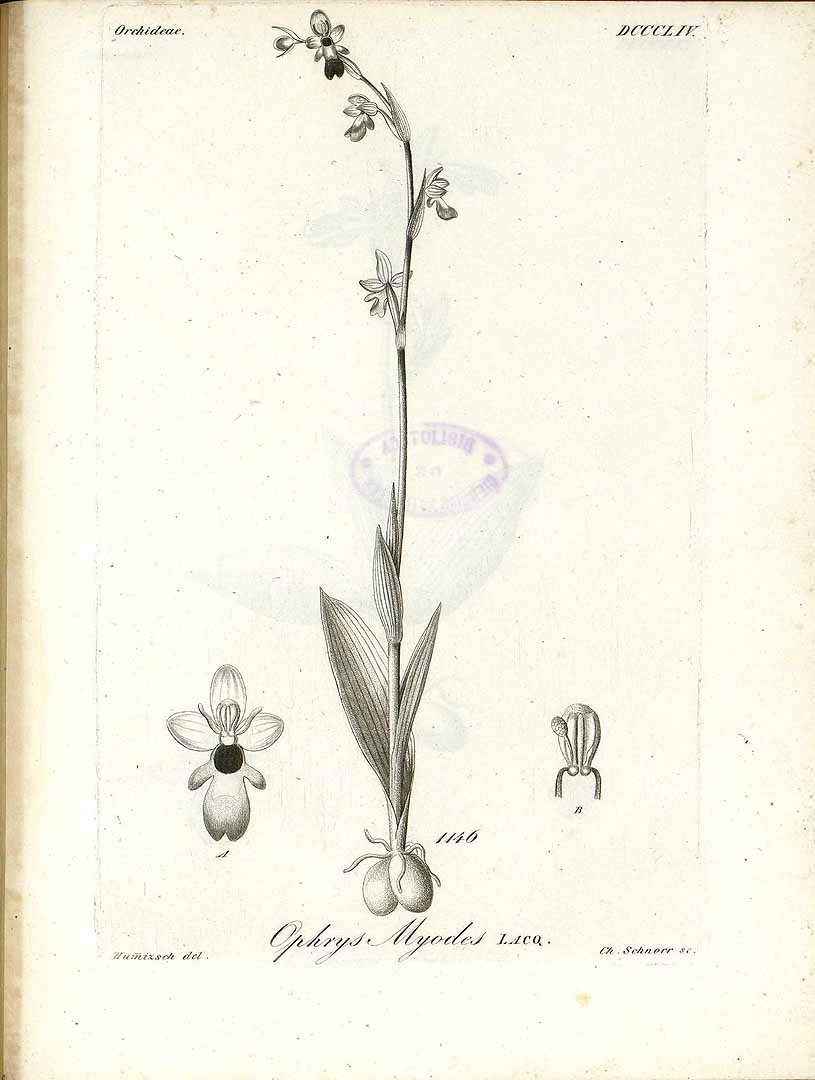 no HD illustration available (3)