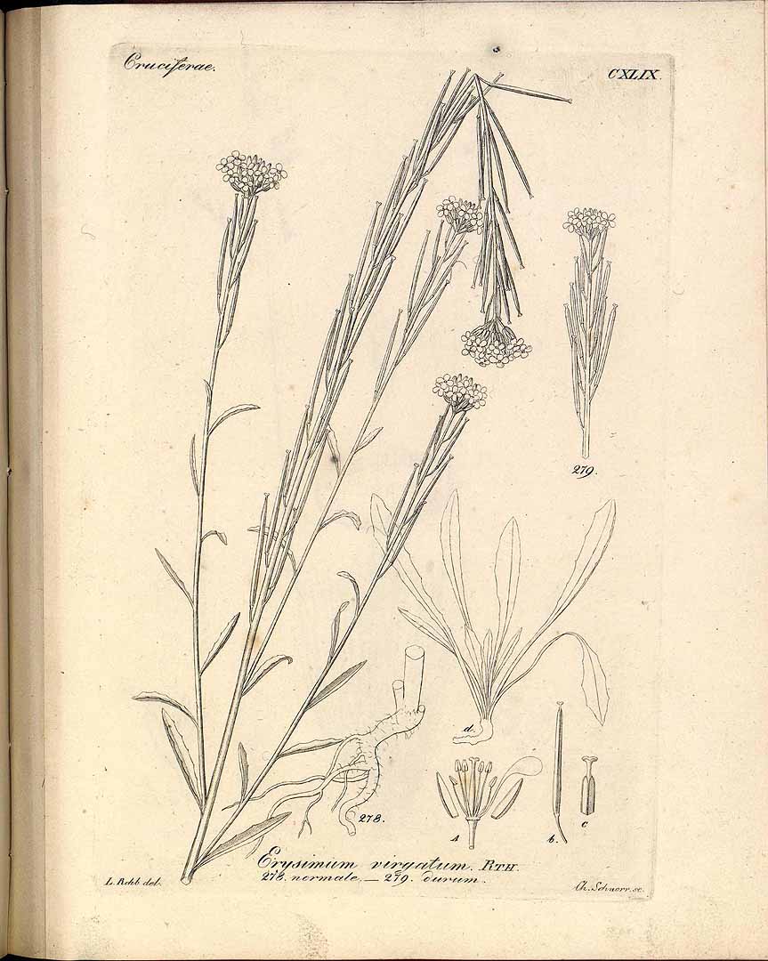 no HD illustration available (3)