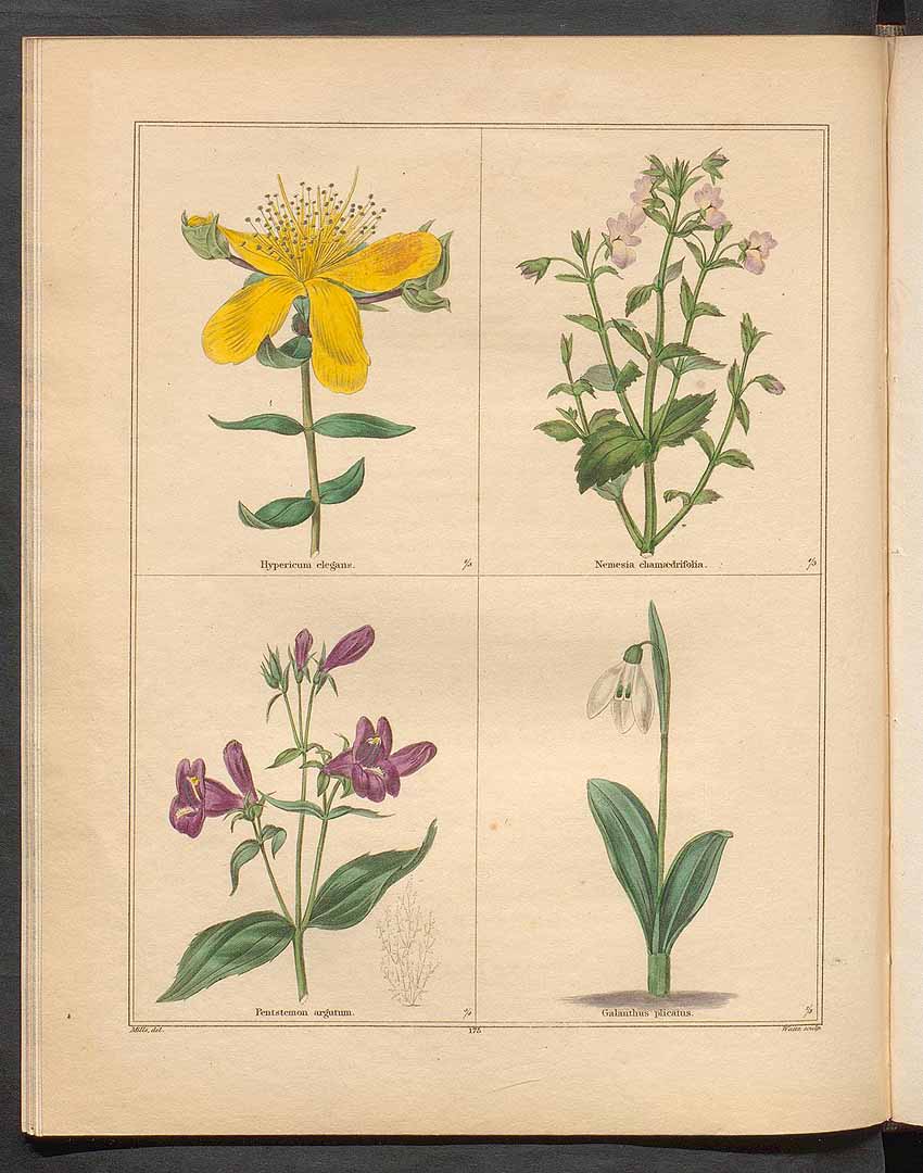 no HD illustration available (3)