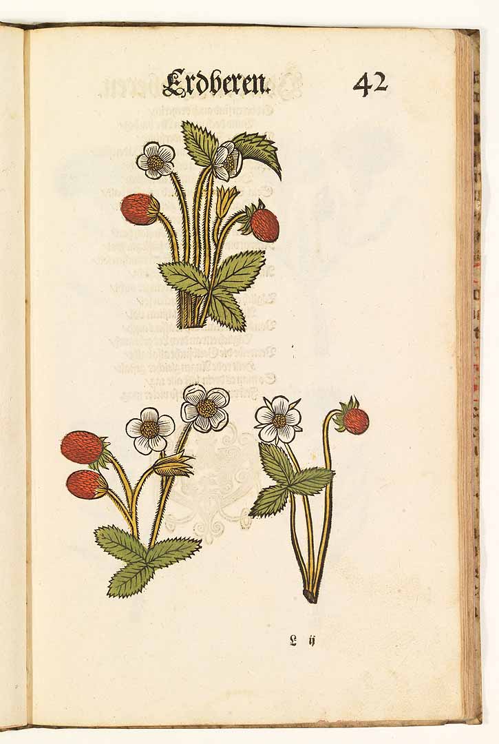 no HD illustration available (3)