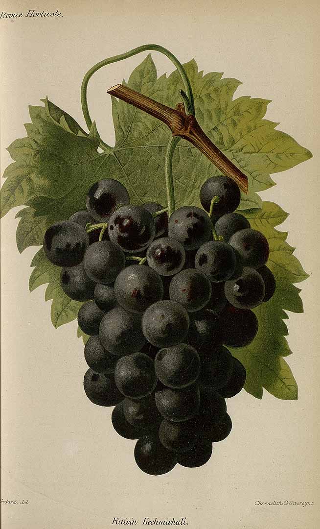 no HD illustration available (3)