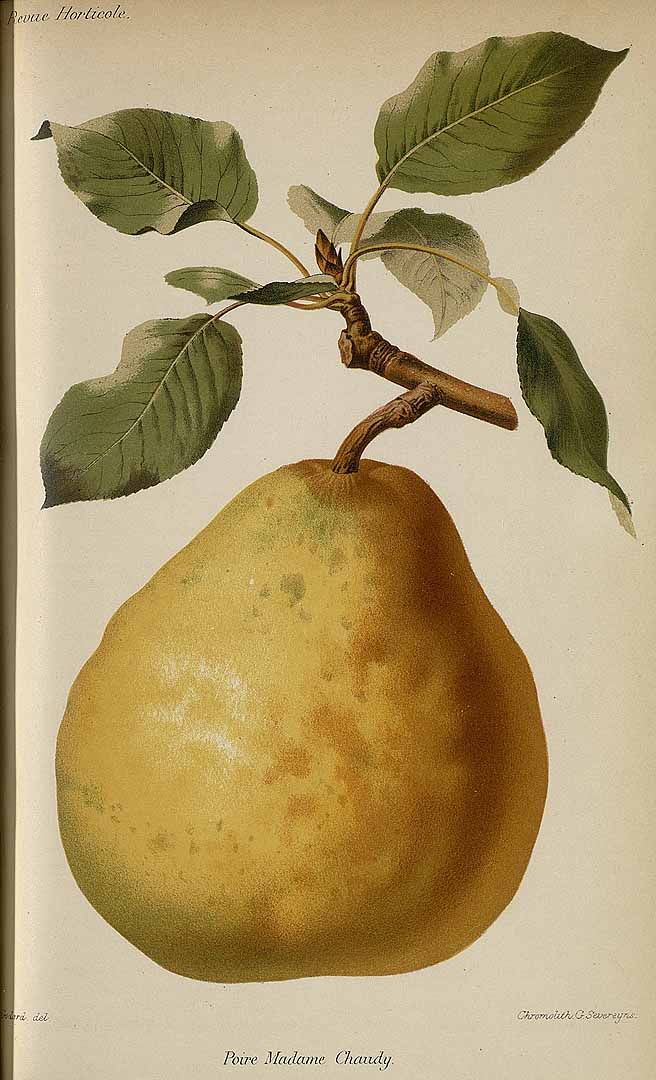 no HD illustration available (3)