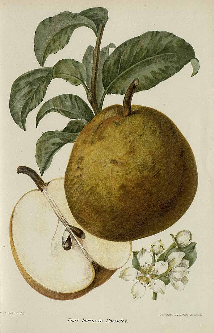 no HD illustration available (3)