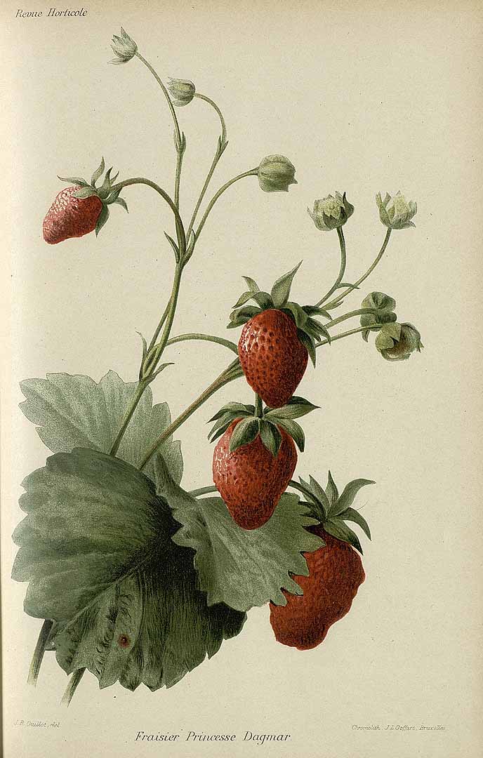 no HD illustration available (3)