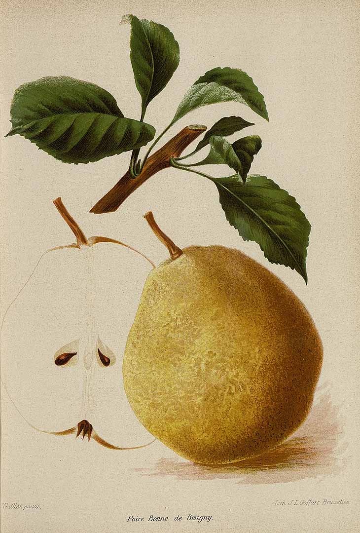 no HD illustration available (3)