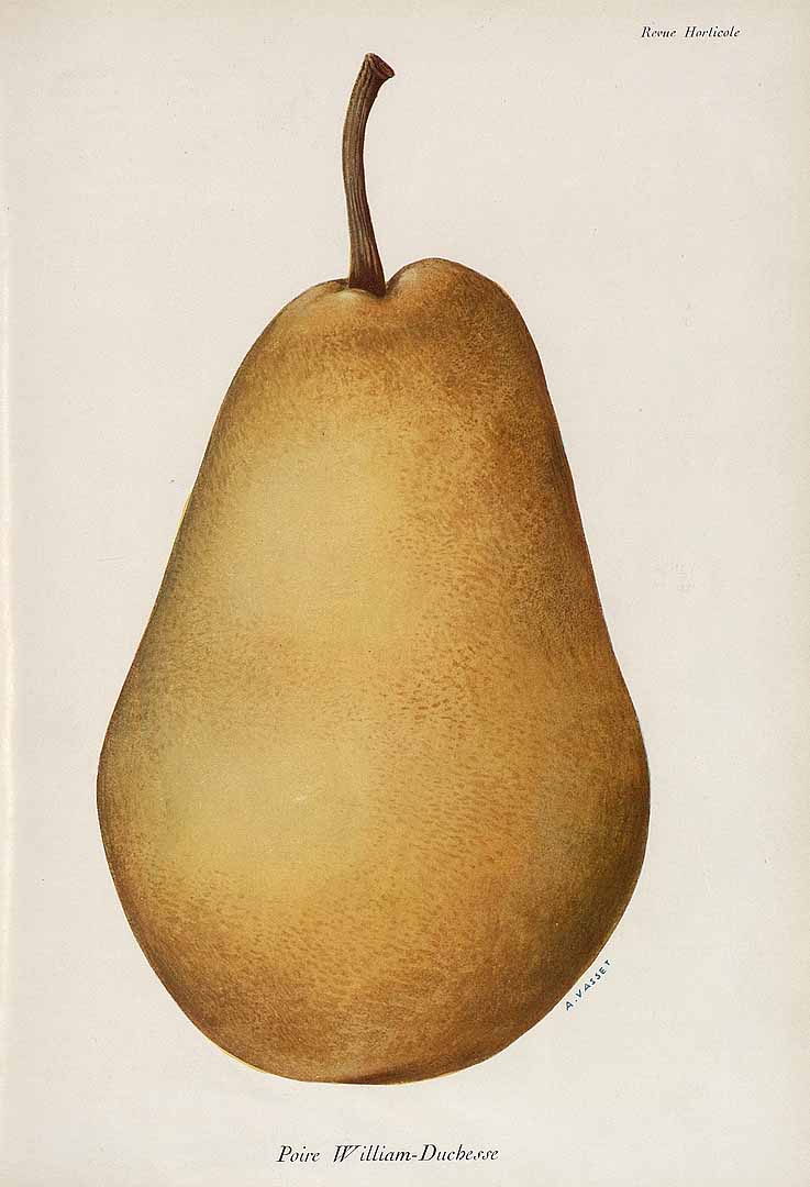 no HD illustration available (3)