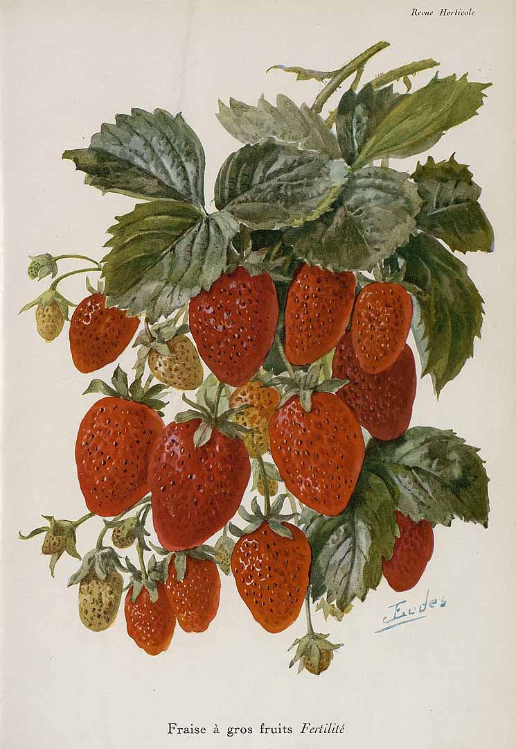 no HD illustration available (3)