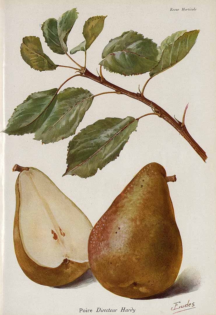 no HD illustration available (3)