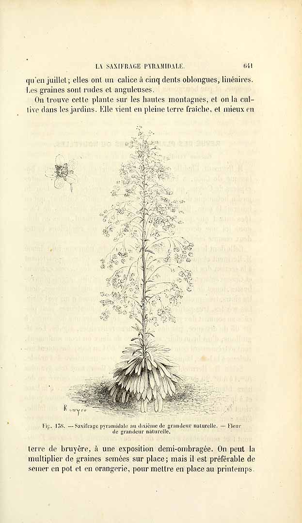 no HD illustration available (3)