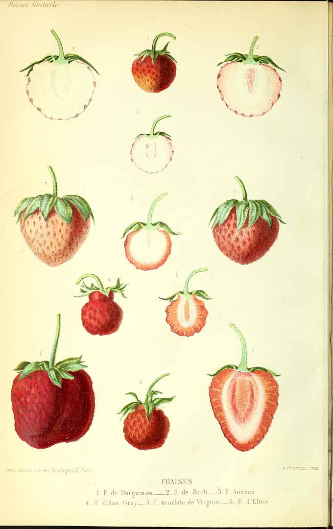 no HD illustration available (3)